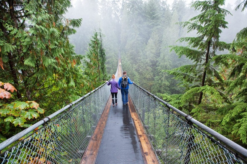 Đến Canada, lặng nghe chuyện tình lãng mạn Vancouver